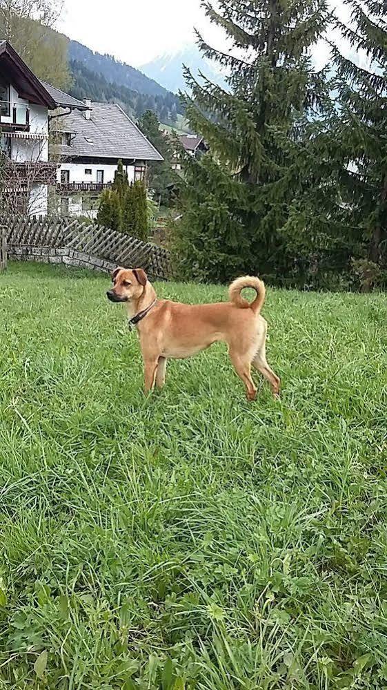 Landvilla Romantika Lermoos Kültér fotó